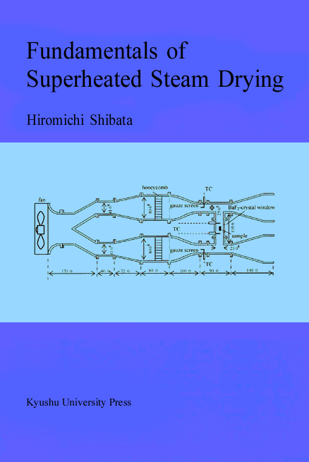 Fundamentals of Superheated Steam Drying